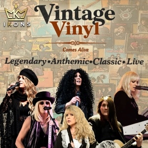 Vintage Vinyl category