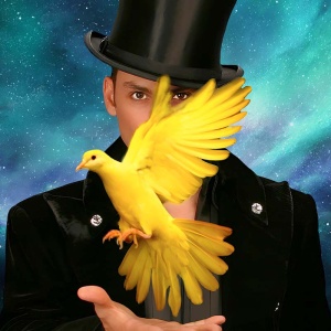 Allstars_Of_Magic_Category