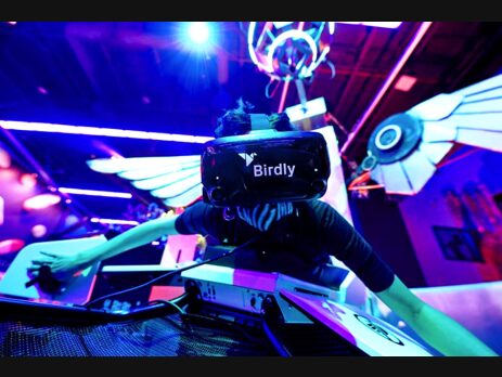 Birdly_Blog_Image