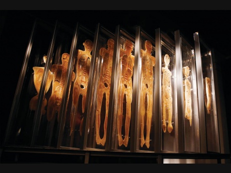 Bodies The Exhibition Las Vegas