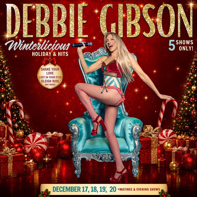 Debbie_Gibson_Category