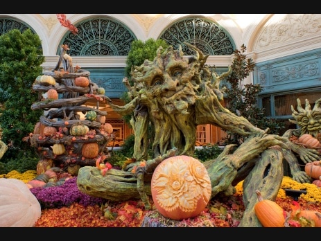 Autumn display with carved pumpkins, a large tree-creature sculpture and fall foliage in a glass-roofed conservatory
