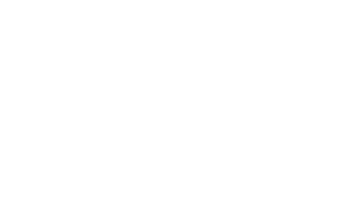 New_Bodies_Logo