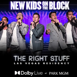 New_New_Kids_On_The_Block_Category