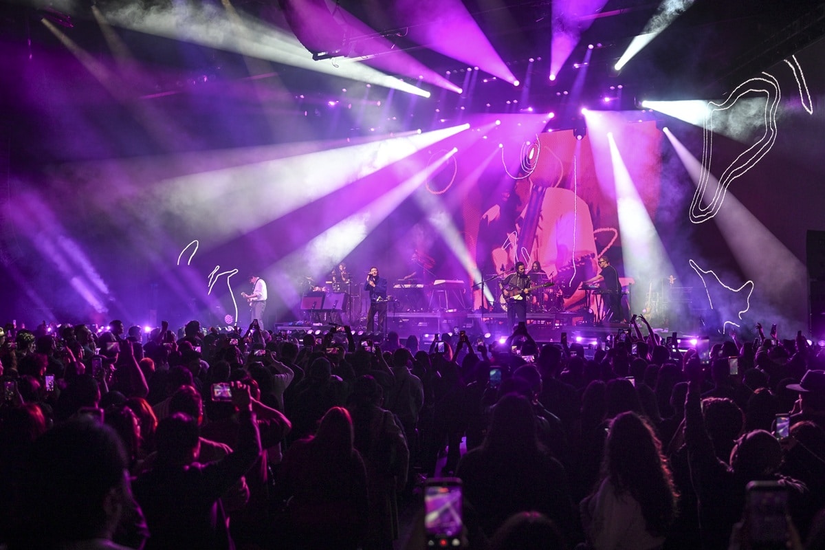 Purple Haze Performance