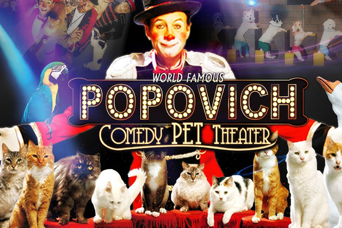 Popovich Comedy Pet Theater Promo Code