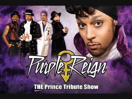 Purple Reign Promo Code