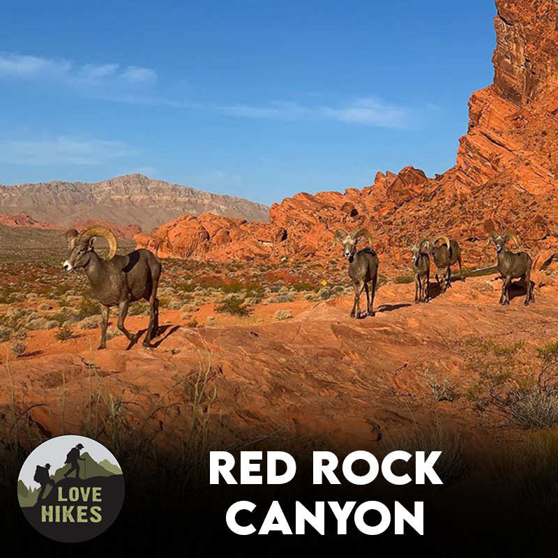 Red_Rock_Canyon_Category