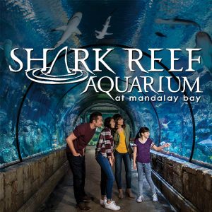 Shark_Reef_Attraction_Category_2