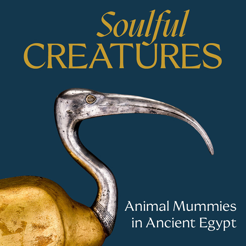 Soulful_Creatures_Category