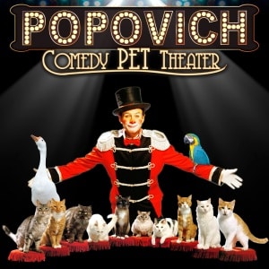 Spotlight-Popovich-Icon-1000x1000