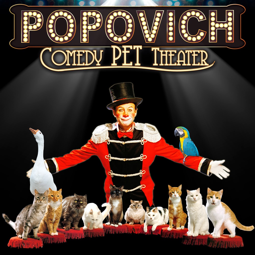 Spotlight-Popovich-Icon-1000x1000