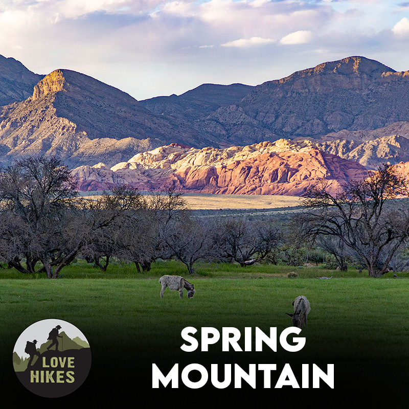Spring_Mountain_Category