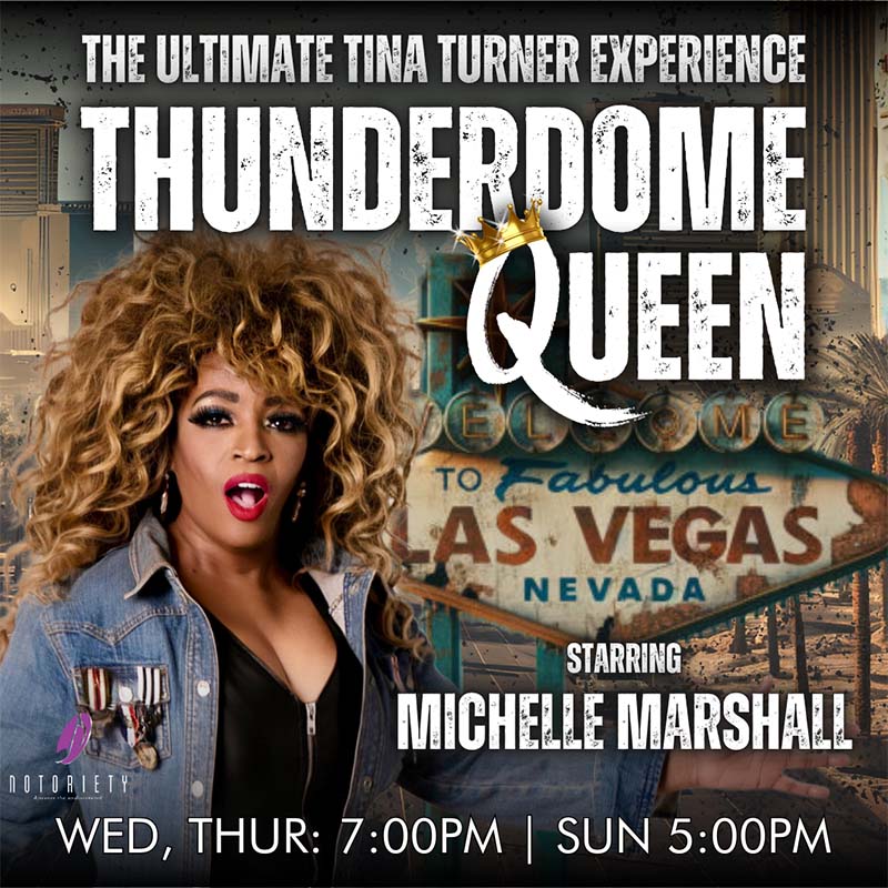 Tina_Turner_Thunderdome_Category